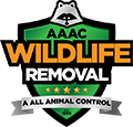 Mequon Wildlife Removal